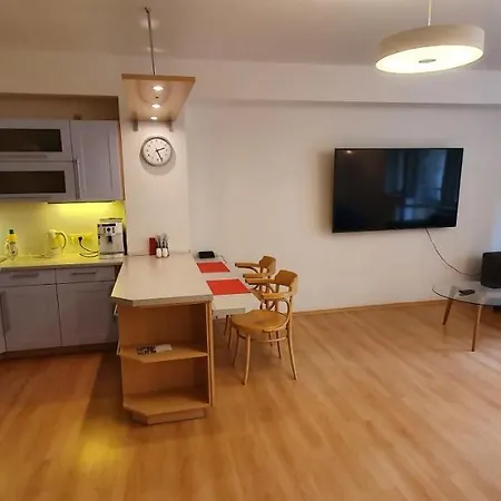 46m2 S Balkonem V Lazenskem Centru